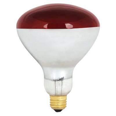 Heat Lamp, Dimmable, Red, 250-Watts, 2-Pk.