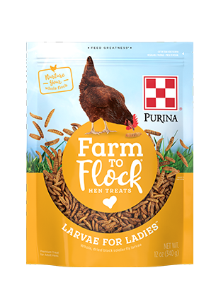 Purina Farm to Flock Larvae for Ladies Hen Treats