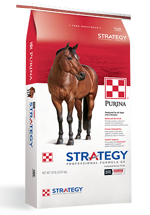 Purina Strategy Professional GX Horse Feed