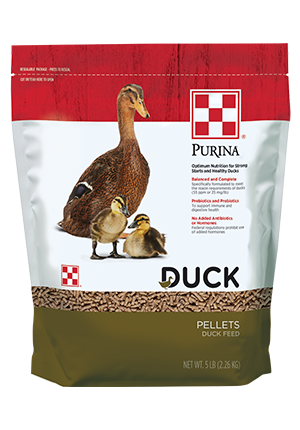 Purina Duck Feed Pellets